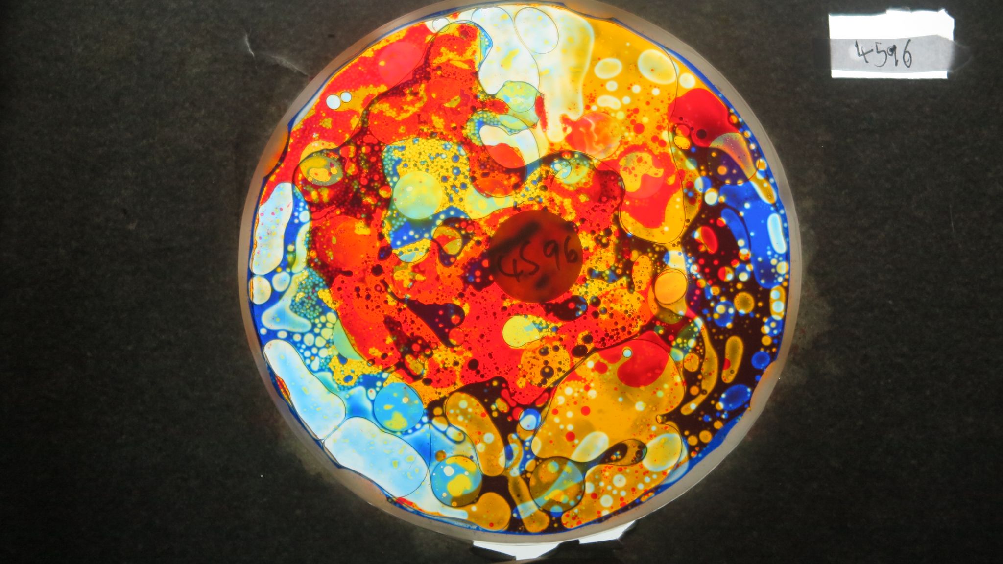 BV4596 bubble vision oil wheel